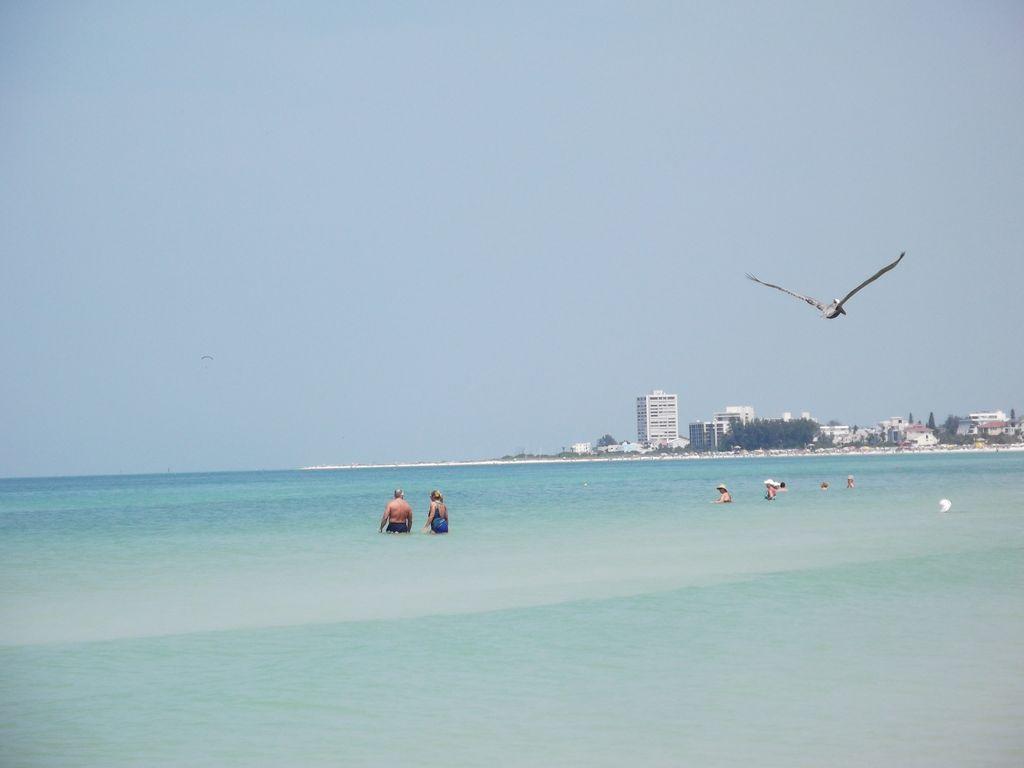 2Br/1Ba Vacation Rental - Sienna Park Sarasota megye Kültér fotó